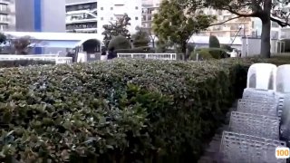 十万个为什么北京昌平小姐姐可联系